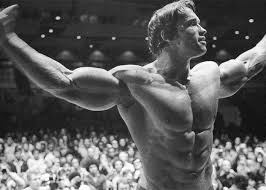 Universe, the bodybuilder of all bodybuilders to learn from. Arnold Schwarzenegger Trainingsplan Bodybuilding Motivation