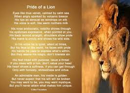 Pride Of A Lion Poem Mother Milk Lion Eyes Lion