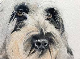 I don't have a ton of experience with watercolor, but you have to start somewhere. How To Paint Dog Fur How To Artists Illustrators Original Art For Sale Direct From The Artist