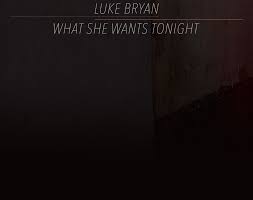 Luke Bryan What She Wants Tonight