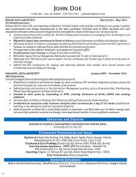 Data Architect Resume Example Data Analytics It Consultant