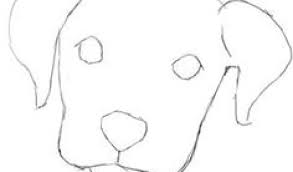 3 draw the dog's eyes. Dog Face Drawing Step By Step At Paintingvalley Com Explore Collection Of Dog Face Drawing Step By Step