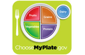 u s retires the food pyramid introduces simpler myplate