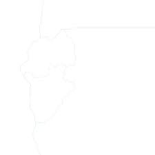 Image result for Rytigynia acuminatissima