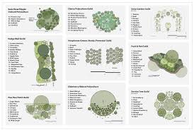 Polyculture Design Food Forest Design Food Forest Garden Orchard Design