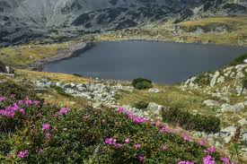 Lacul Bucura Este Un Lac Glaciar Situat In Parcul Național Retezat Din Munții Retezat Este Cel Mai Mare Lac Glaciar Din Romania