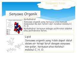 Asam karboksilat alifatik maupun aromatik yang terdiri atas beberapa atom karbon umumnya kurang larut dalam air tetapi larut dalam pelarut organik. Bab 1 Sel Tujuan Pembelajaran Ppt Download