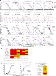 Novel sarbecovirus bispecific neutralizing antibodies with exceptional  breadth and potency against currently circulating SARS-CoV-2 variants and  sarbecoviruses | Cell Discovery