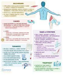 Image result for Muscle Weakness Causes