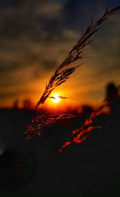 Birbirinden güzel telefon duvar kağıtlarını sizler için tek tek seçtik ve bir araya getirdik. Tum Akilli Telefonlar Icin En Iyi 70 Zedge Duvar Kagidi