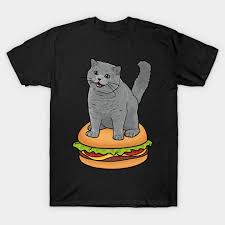 Image result for i can has cheezburger