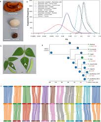 Jul 21, 2021 · welcome to allover30free.com. The Tepary Bean Genome Provides Insight Into Evolution And Domestication Under Heat Stress Nature Communications