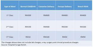 The malaysian government places importance on the expansion and development of health care, putting 5% of the government social sector development budget into. Pregnancy Guide Expenses To Expect When Expecting Comparehero