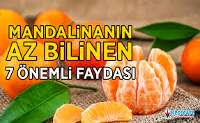 vural sarigoz adli kullanicinin favorite places spaces panosundaki pin meyve beslenme diyet