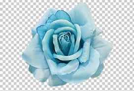 Maybe you would like to learn more about one of these? Flower Garden Roses Blue Aqua Png Clipart Aqua Artificial Flower Baby Blue Blue Blue Rose Free