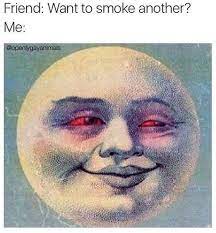 Dank S Wonder Emporium Na Twitteri Always Down For Another Weed Marijuana Joint Dab Meme Stoned Stoner Follow Redeyes Smoker Bowl Indica Sativa Concentrates Https T Co Zsjnn6n5sh