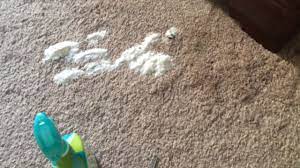 Try to use a moist paper towel or baby wipe and pinch the carpet fibers to pick up as much material as you can. Removing Diarrhea From Carpet Youtube
