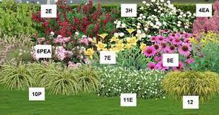 Fleurs mi ombre mi soleil. Massif De Soleil Mi Ombre 1 Presentation Jardinage Balcon Jardinerie Arbres Et Arbustes