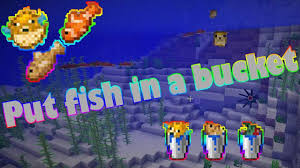 How do you spawn fish in minecraft? Minecraft What Do Axolotls Eat Game Rant