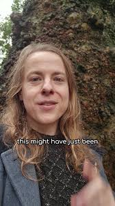 May 2024 bring you good trees with tiny mushrooms and inquisitive wildlife  💚 🌳🍄🐿 #Tree #Mushroom #Squirrel #Nature #Wildlife #Cute #Garden  #Cottagecore #fungi #fungilove #mushrooms #trees ...