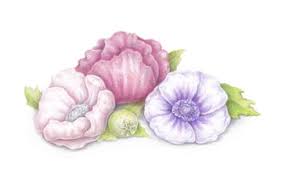 Set of isolated flower leaves floral watercolor. Learn Colored Pencil Techniques And How To Create A Trio Of Flowers