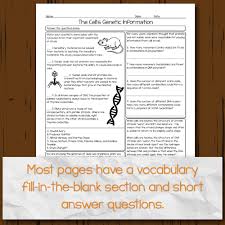 #2 a c t dna: Protein Synthesis Homework Pages