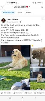 Animales Perdidos en La Plata