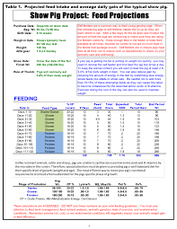 monitoring your show pigs progress animal agriculture