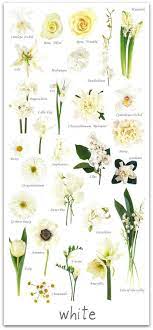 Flowers may also denote a specific season or period of time in life. Wedding Flowers By Colour Wedding Flower Types White Flowers Names Flower Names