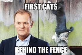 22 hilarious tusks memes of september 2019. Learn English With Donald Tusk First Cats Behind The Fence Cats Movie Posters Funny