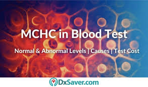 What Is Mchc In Blood Test Causes Of Normal High Low Mchc Levels