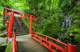 Jul 26, 2021 · sunrise, sunset, day length and solar time for kyoto. Top 10 First Time Tips For Kyoto Japan Travel Caffeine