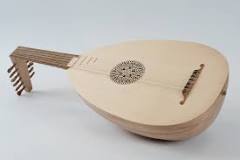 Image result for what is a course on a lute
