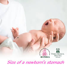 Infant Feeding Size Of A Newborn S Stomach Family Medical Practice