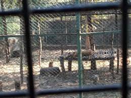 Reviews for Sanjay Gandhi National Park ...