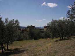 Also, the venue features parquetry flooring. A Casa Di Olivo In Firenze Vacanzeanimali It