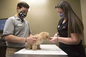 So, even if your pet is healthy now, you can apply for funding for future emergency care, should your pet need it. Local News Emergency Pet Care Options Dwindle Throughout Region 5 5 21 Southeast Missourian Newspaper Cape Girardeau Mo
