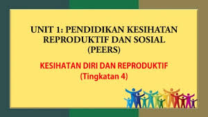 Bahagian bnamakan bahagian organ dalam system reproduktif lelaki dan perempuan berdasarkan gambar di bawah. Unit 1 Pendidikan Kesihatan Reproduktif Dan Sosial Peers Flip Ebook Pages 1 17 Anyflip Anyflip
