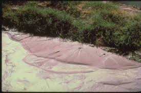Sand Boil Near El Centro 1979 Earthquake Of October 15 1979 Imperial Valley California A Sand Boil Near El Centr Geology Earthquake Earthquake And Tsunami