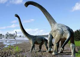 Giant titanosaurus discovered in argentina. Remains Of Massive Plant Eating Lizard In Argentina Likely The Largest Oldest Ever Found Technology News Firstpost