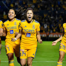 Los tigres blancos no constituyen una subespecie separada y son fértiles con los tigres naranjas, aunque todas las crías resultantes serán heterocigotos por el gen recesivo, y su coloración será naranja. Tigres Femenil Primer Semifinalista Del Apertura 2019 El Informador