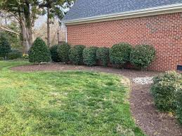 Eclipse lawn and outdoor services, llc. Eclipse Lawn Care Home Facebook