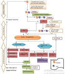 Flow Chart Of Human Trafficking Download Scientific Diagram