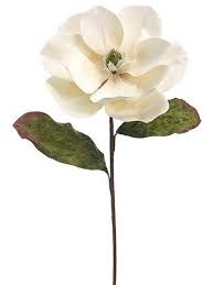 Maybe you would like to learn more about one of these? Beige Silk Magnolia Flower Stem Flower Aesthetic Submersible Centerpieces Silk Flowers Wedding
