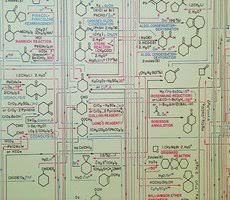 25 Alternative Periodic Tables Updated Now With A Final