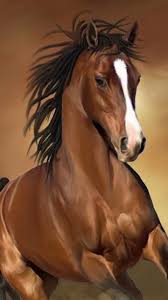 Download horse wallpaper, set as wallpaper and enjoy horse wallpaper! Download Free Mobile Phone Wallpaper Horse 1100 Mobilesmspk Net