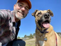 It's a Dog's World, San Francisco, CA 94117, US