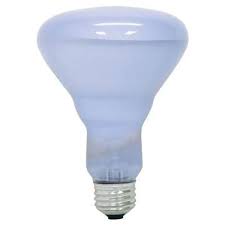 Ge 65 Watt Reveal R30 Indoor Floodlight 48692 Blain S Farm Fleet
