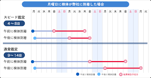 DNA鑑定・遺伝子検査のseeDNA