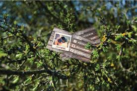 Business Cart Mockup Tree Business Card Psd Cool Business Cards Business Card Mock Up
